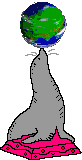 seal with earth spinning on its nose