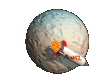 spaceship revolving around the moon
